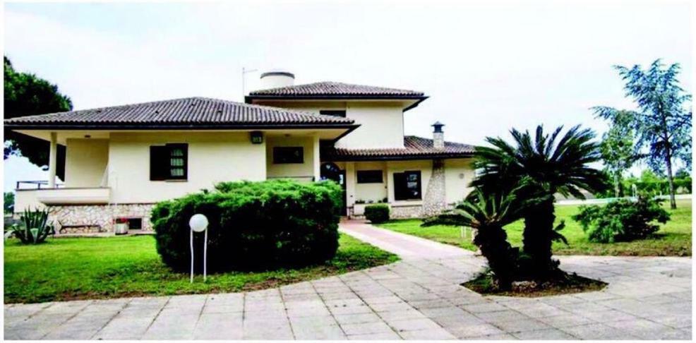 Peperosa B&B And Events Nettuno Dış mekan fotoğraf